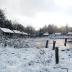 Hvad er forskellen på kryddersnaps og snaps?